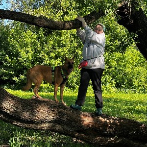 Марсагишвили profile