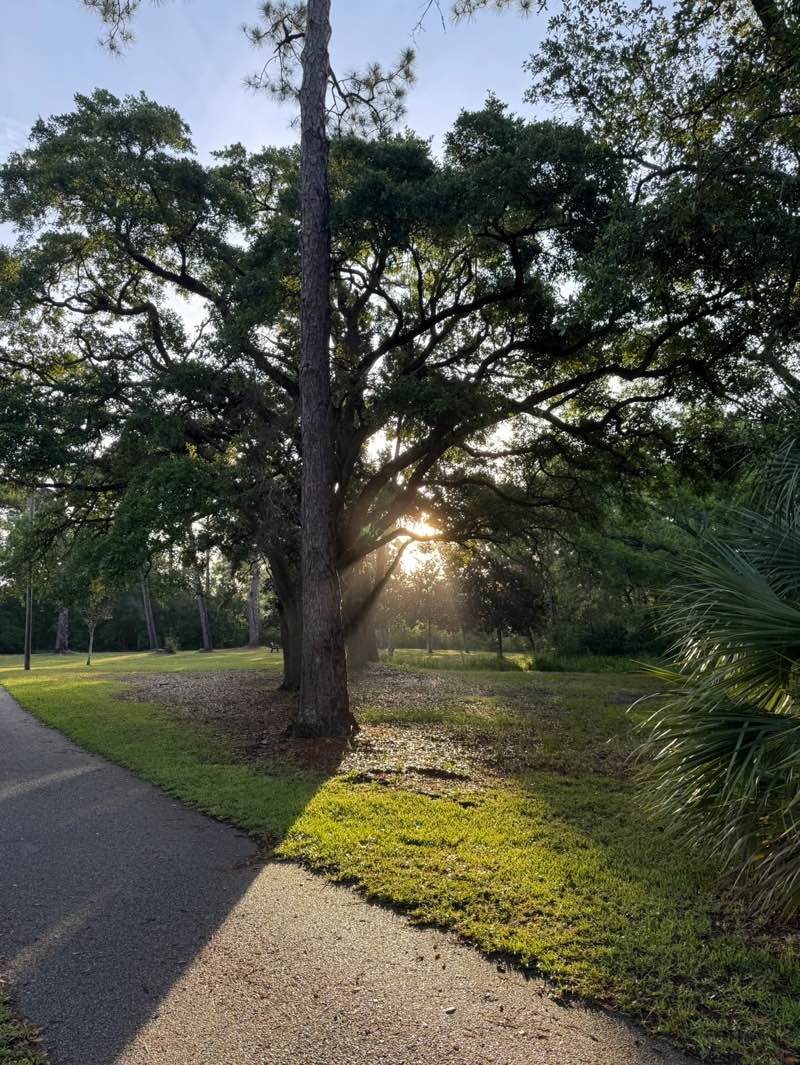 walking near me in Navy Point Park in summer