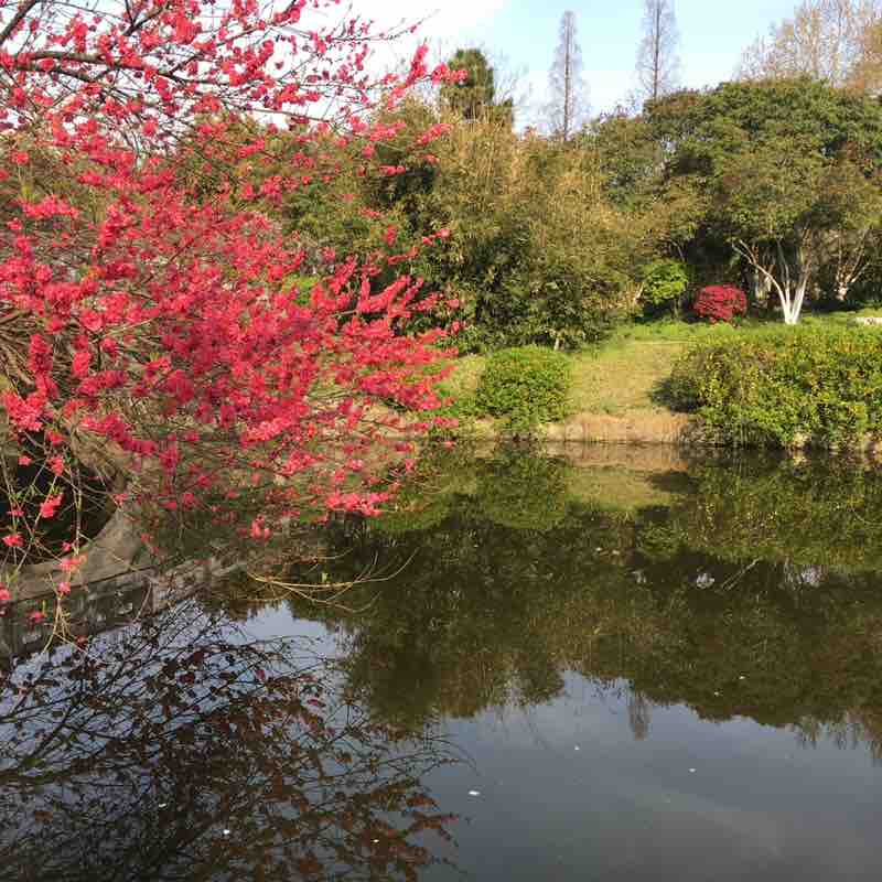 和田玉 post 3