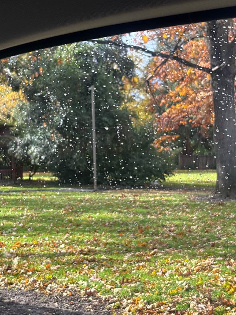 walking near me in Ruhl Park in autumn