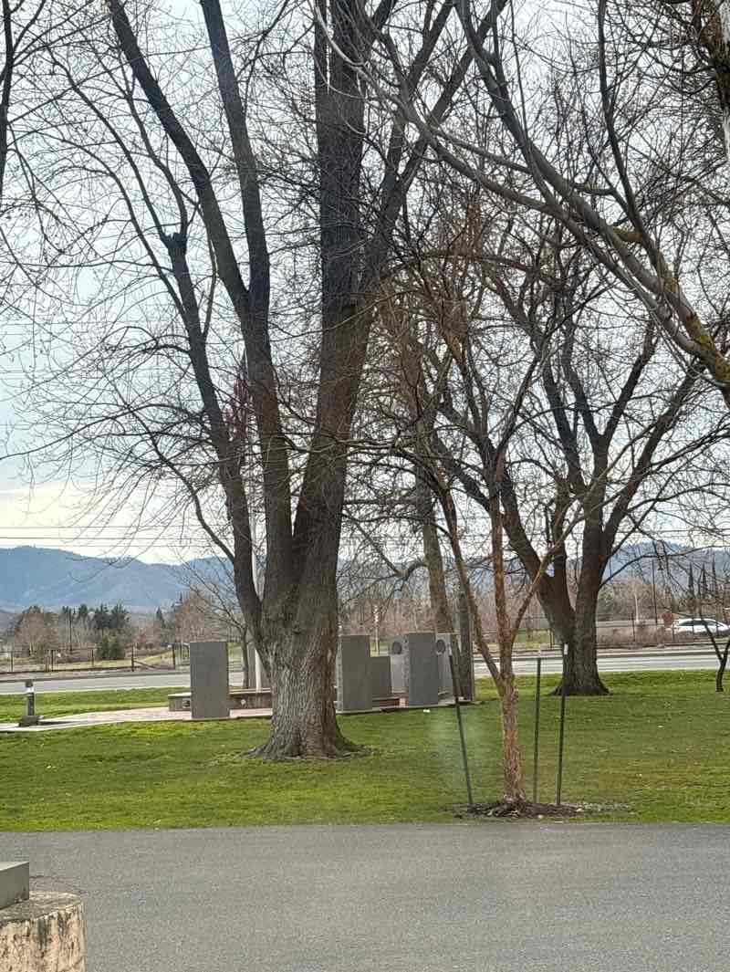 walking near me in Veterans Memorial Park. in winter