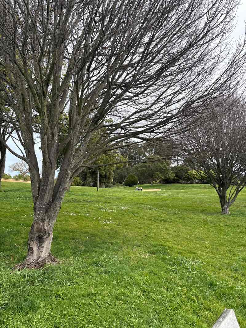 walking near me in Lafayette Park in winter
