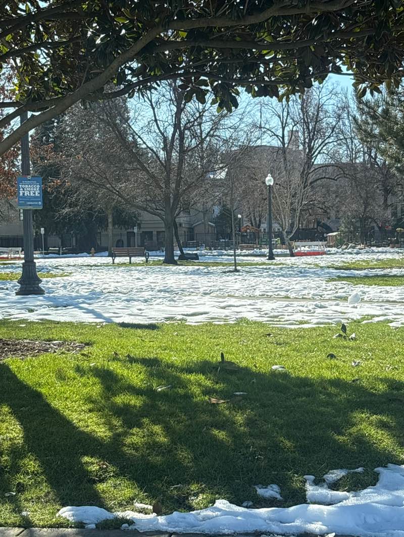 walking near me in Alba Park in winter