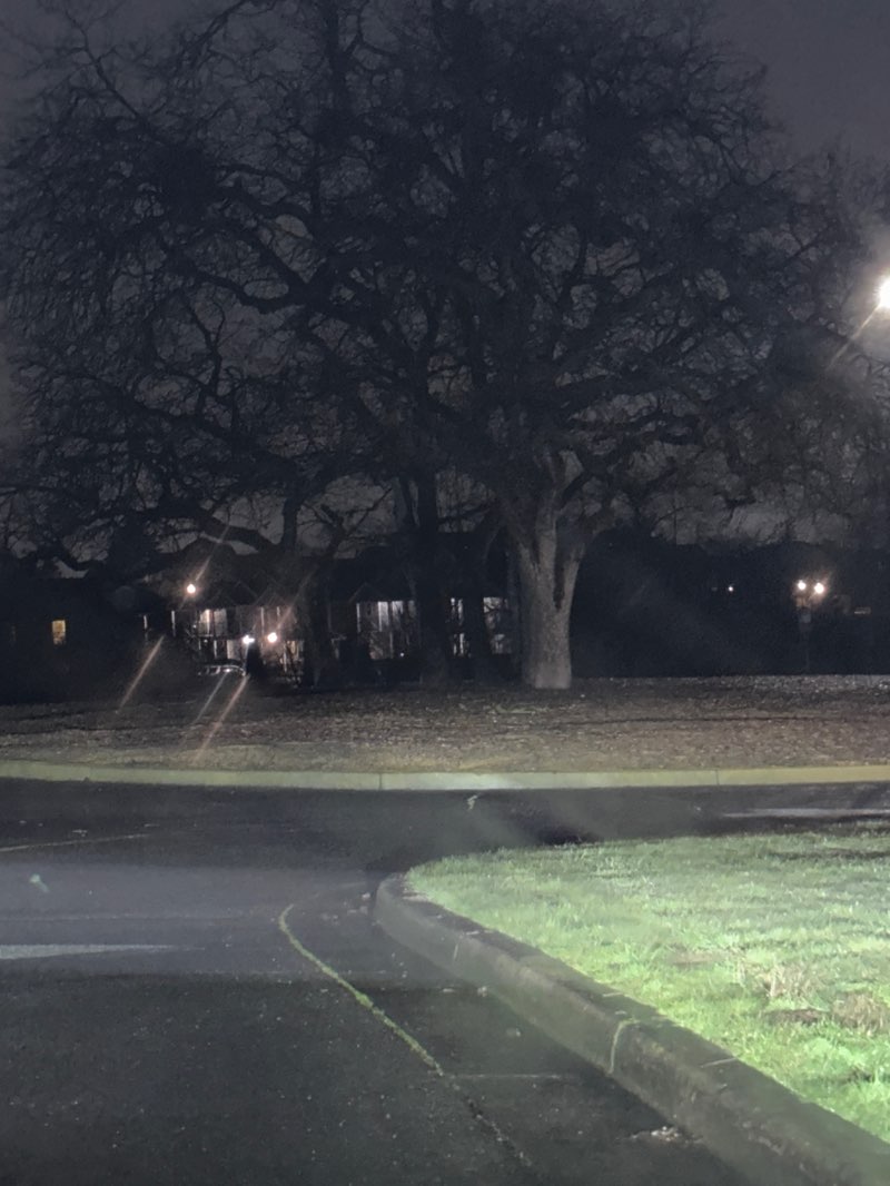walking near me in Donahue-Frohnmayer Park in winter