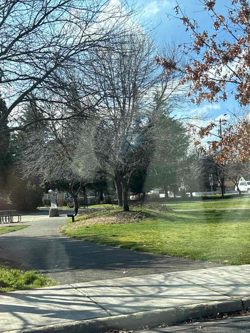 walking near me in Old Town Park in winter
