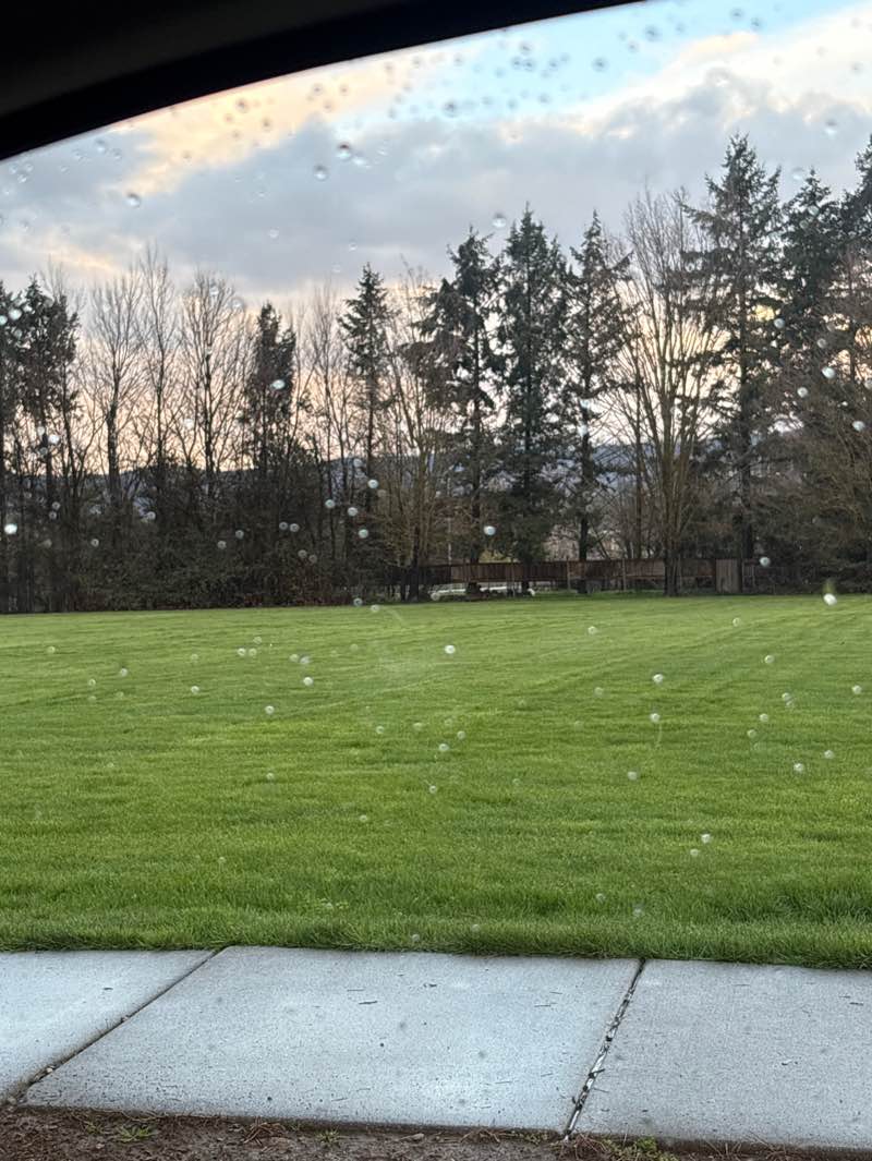 walking near me in Jefferson School Park in spring