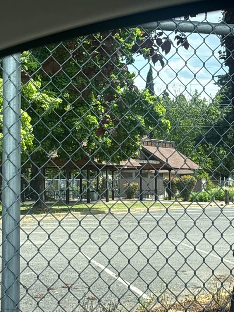 walking near me in Railroad Park in spring