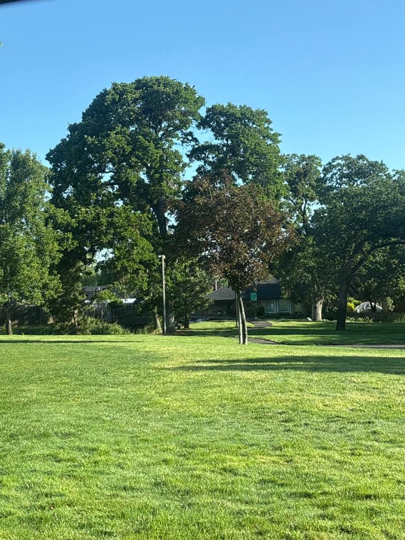 walking near me in Forest Glen Park in spring