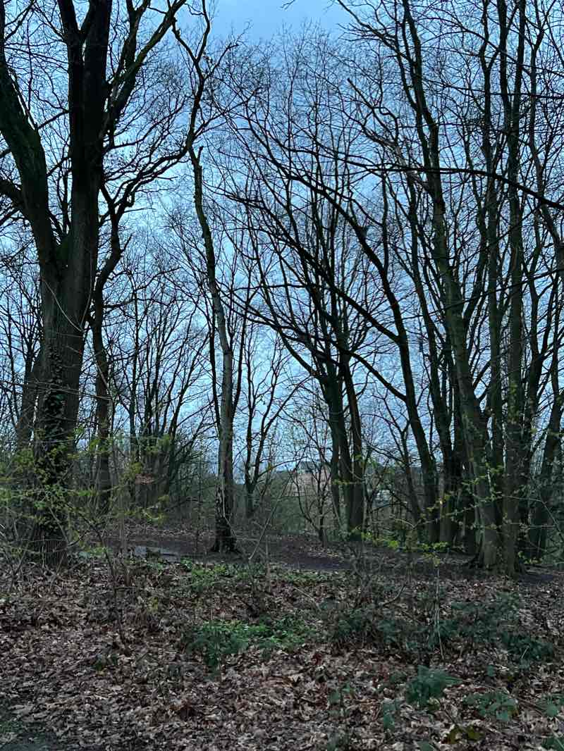 walking near me in Parc à Lapin in winter