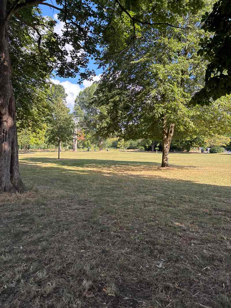 walking near me in Riverside Meadows in summer