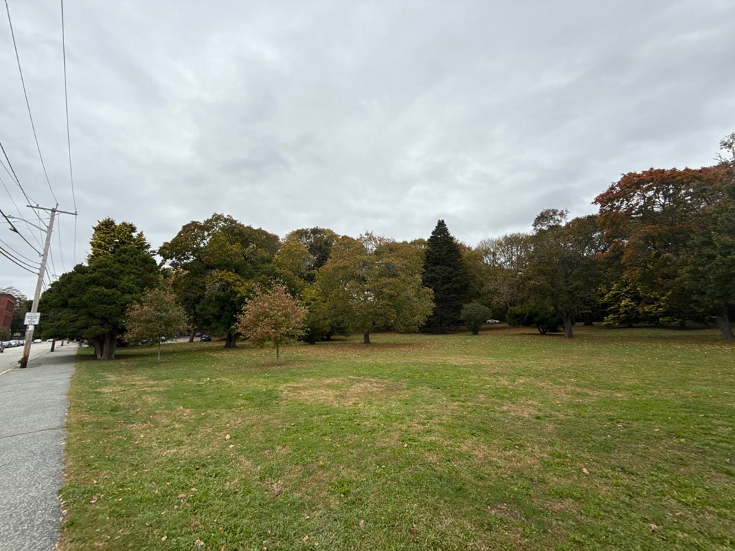walking near me in Constance Whitherby Park in autumn