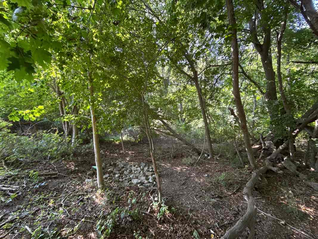 walking near me in Bristol Town Park in autumn