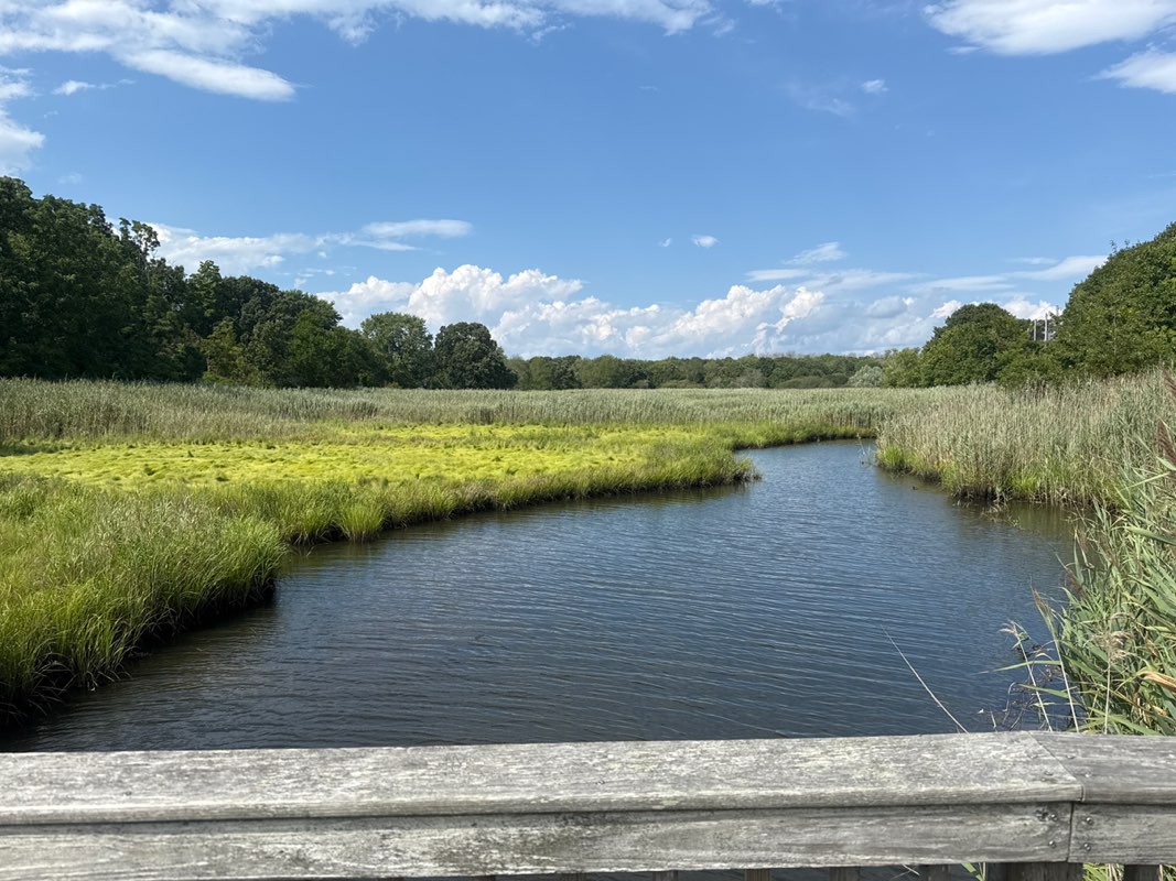 walking near me in Veterans Park in autumn