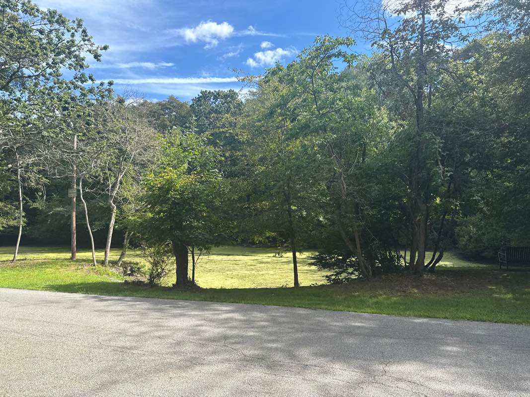 walking near me in Children's Grove in autumn