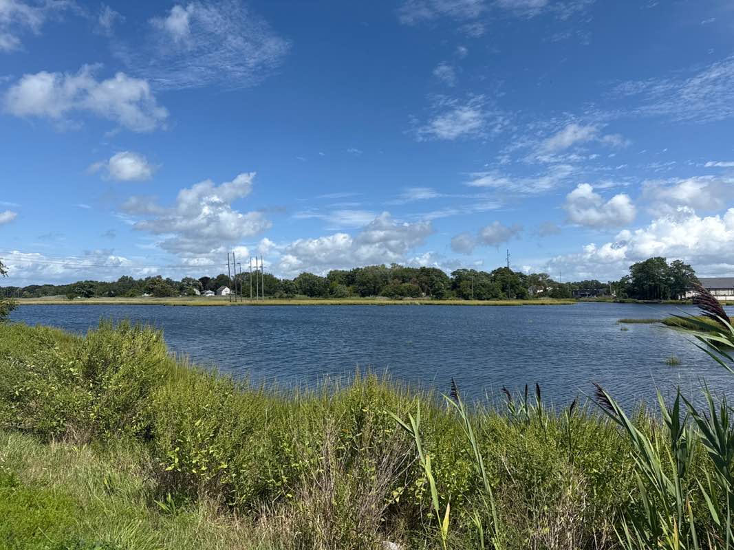 walking near me in Jamiel Park in autumn