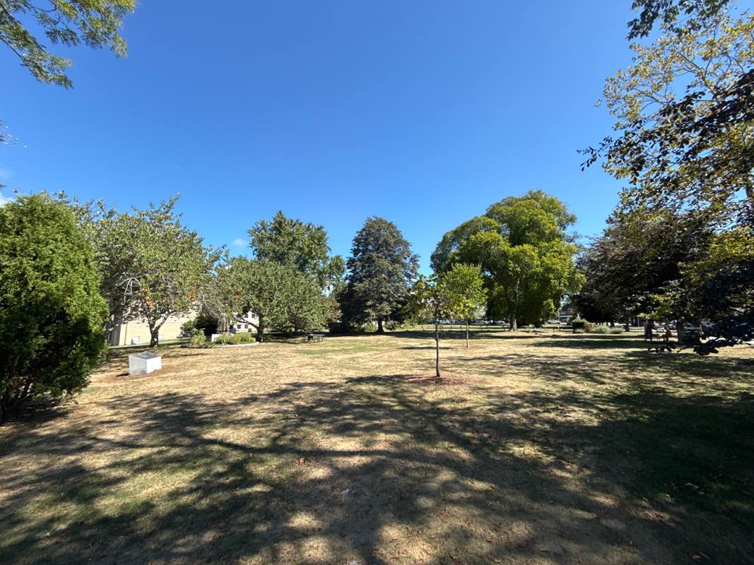 walking near me in Downtown Library Park in autumn