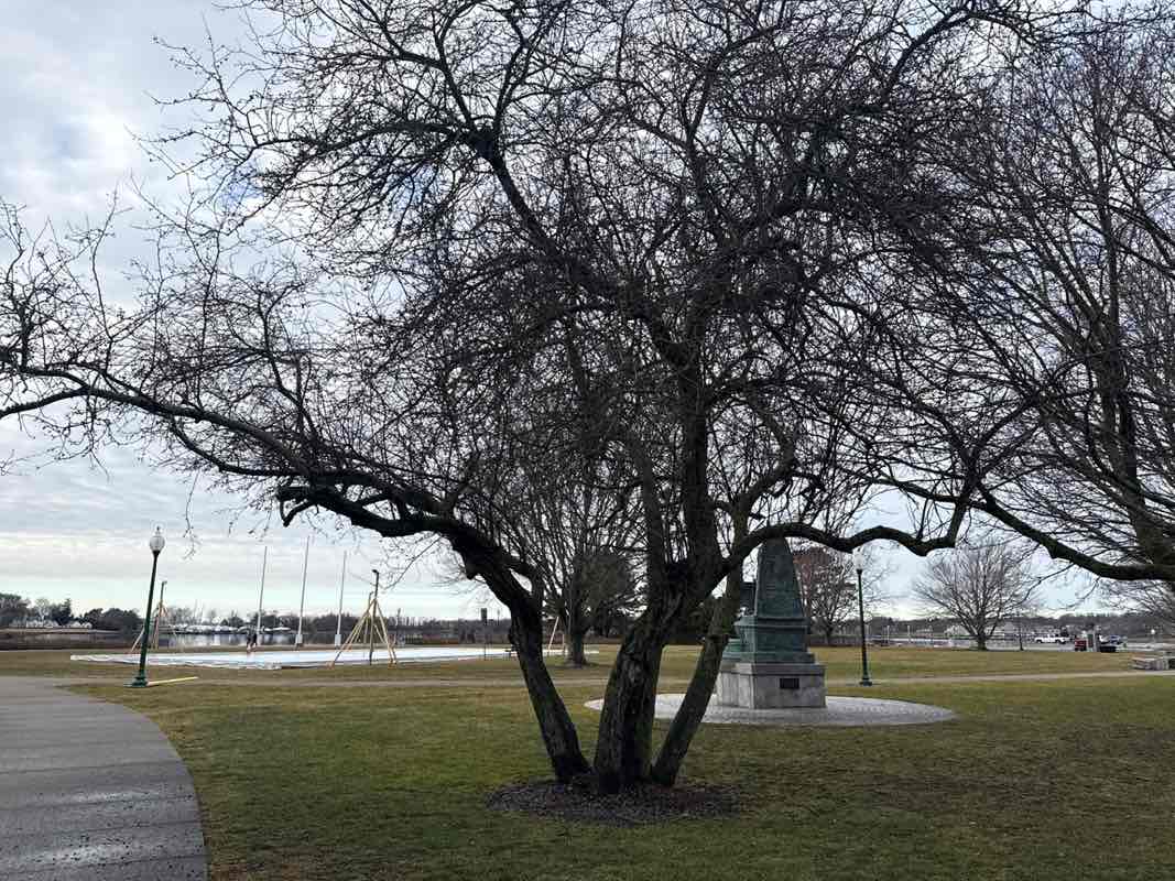walking near me in Independence Park in winter