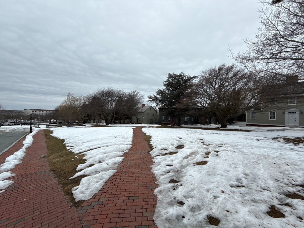 walking near me in Washington Park in winter
