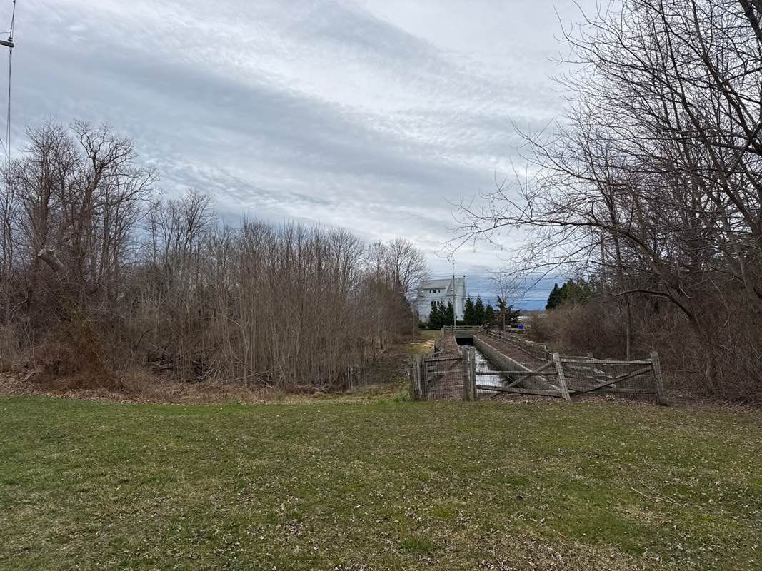 walking near me in Bristol Greenway in spring