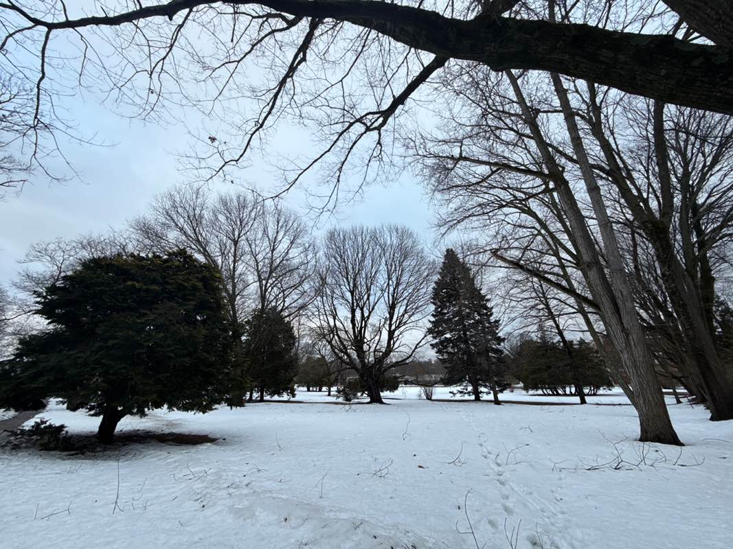 walking near me in Constance Whitherby Park in spring