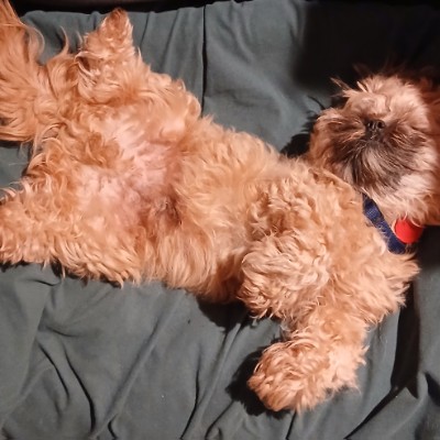 Rosie post 1