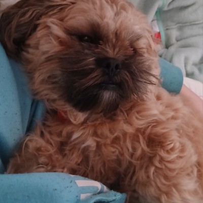 Rosie post 3