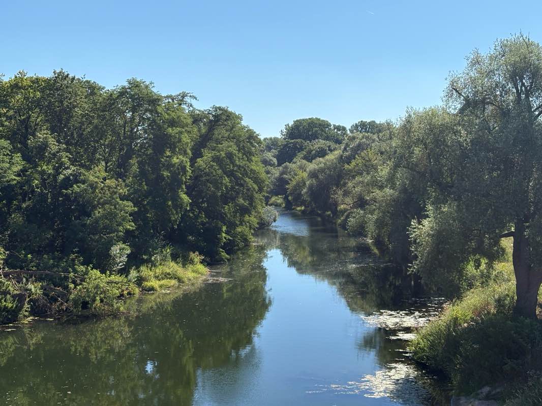 walking near me in Fürst-Anselm-Park in summer