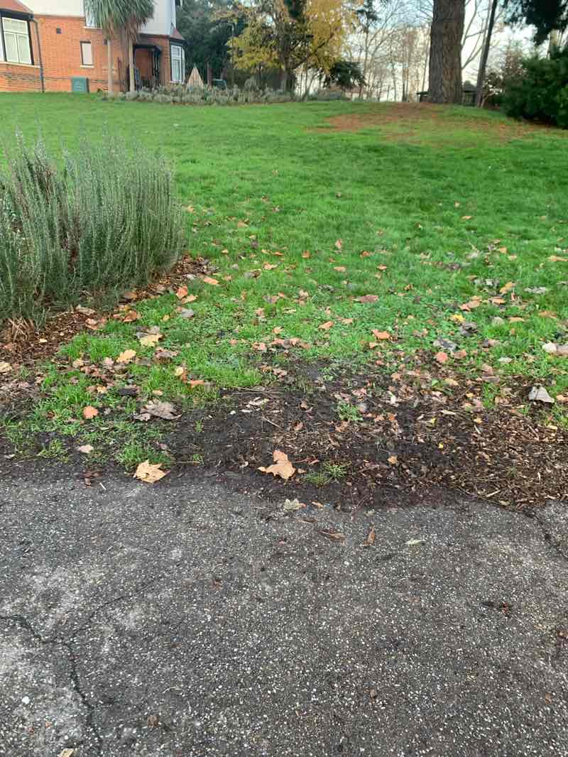 walking near me in Lodge Farm Park in winter