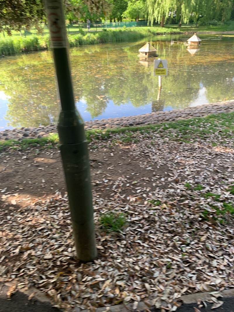 walking near me in Rosebery Park in spring