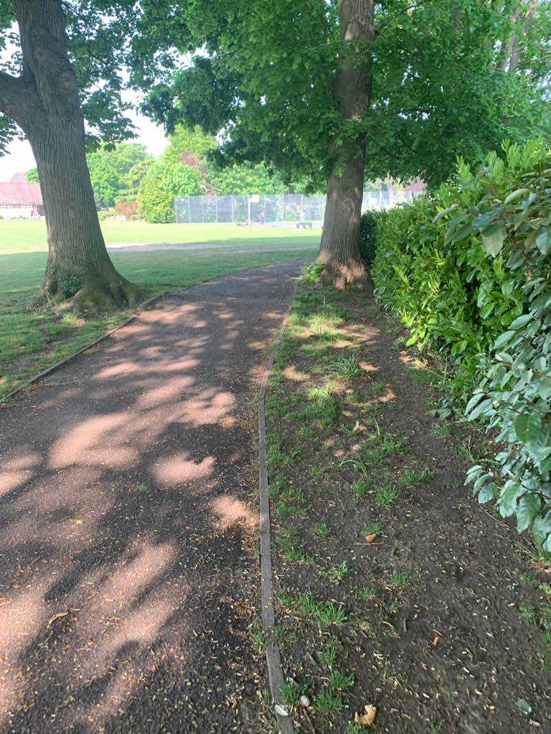 walking near me in Alexandra Park in spring