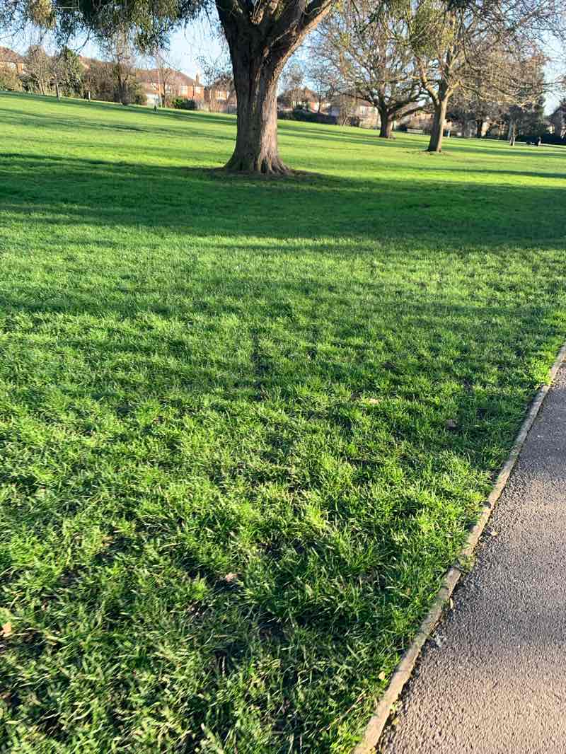 walking near me in Lodge Farm Park in winter