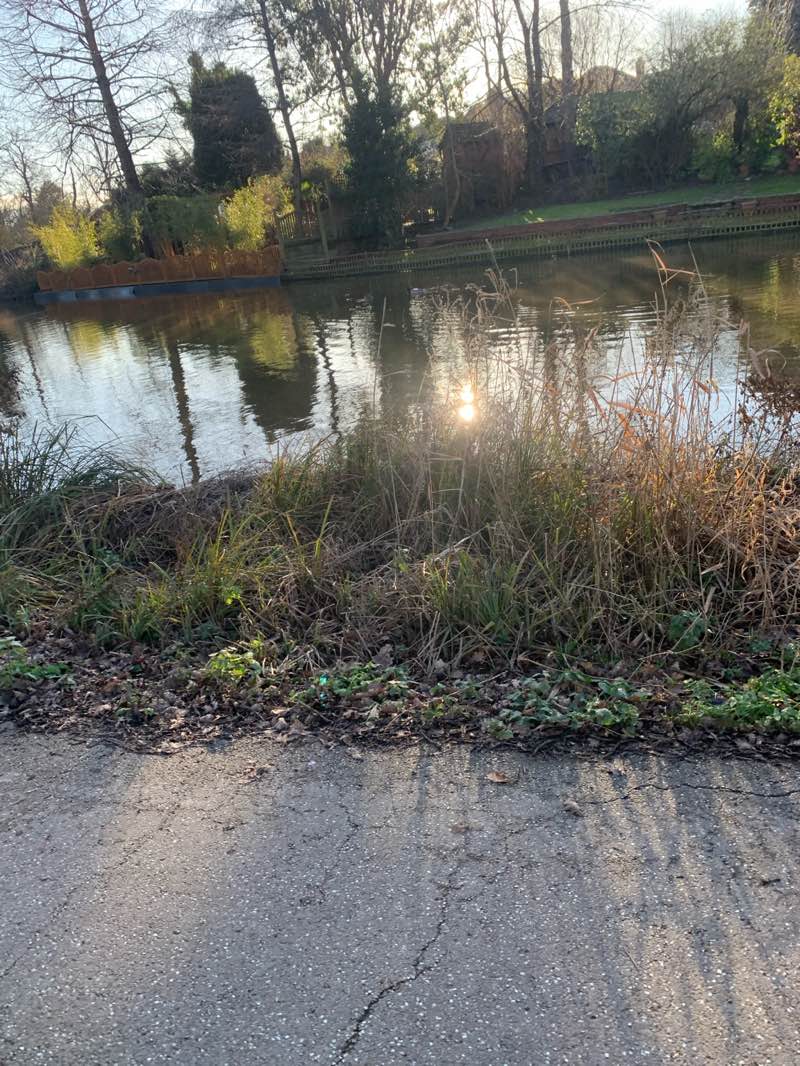 walking near me in Raphael Park in winter