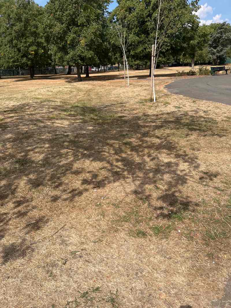 walking near me in St. Chad's Park in summer