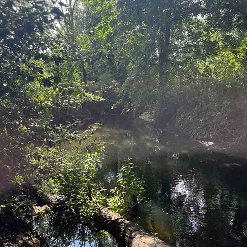 CourtneyNarayan💎 post 1