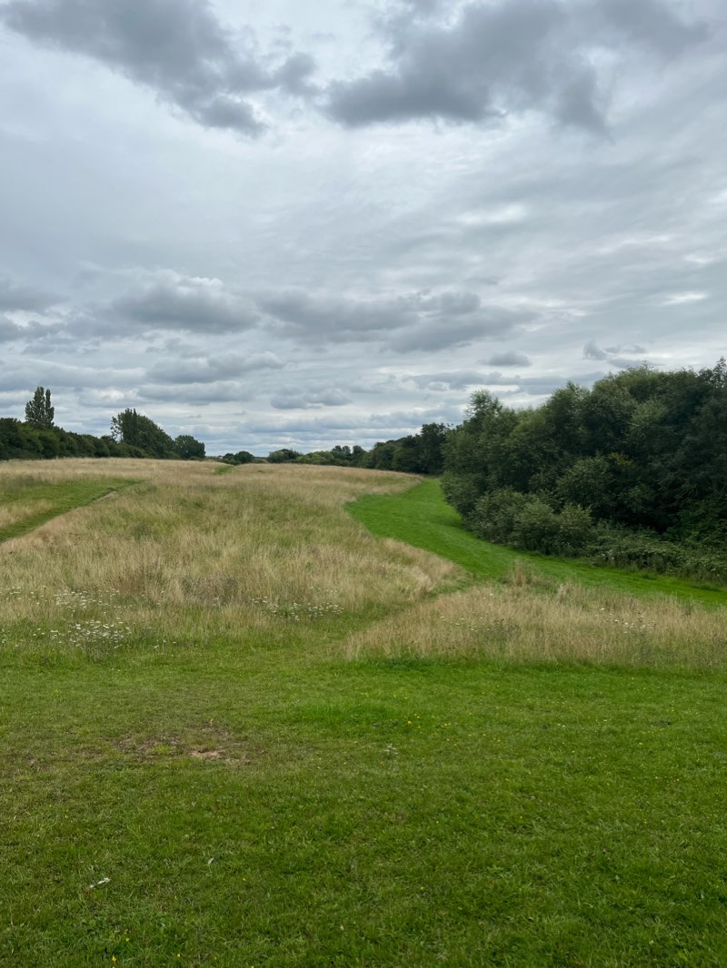 walking near me in Linear Park in winter