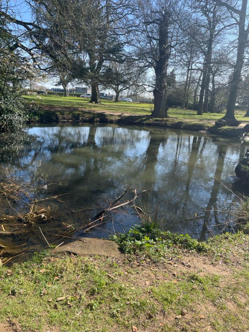 walking near me in Ayresome Gardens in spring