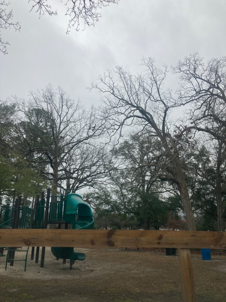 walking near me in Hampton Park in winter