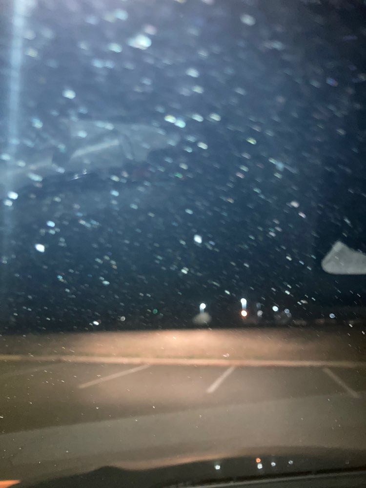 walking near me in Seven Oaks Park in winter