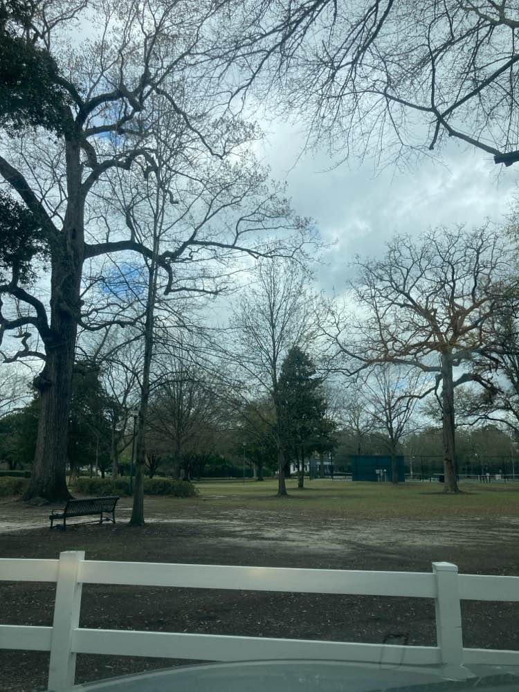 walking near me in Rectory Square in spring
