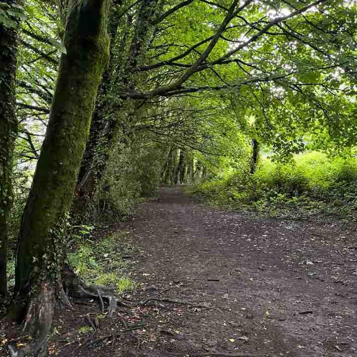 crackerdavies post 2