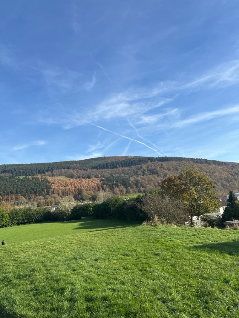 walking near me in Gwynifor Park in winter