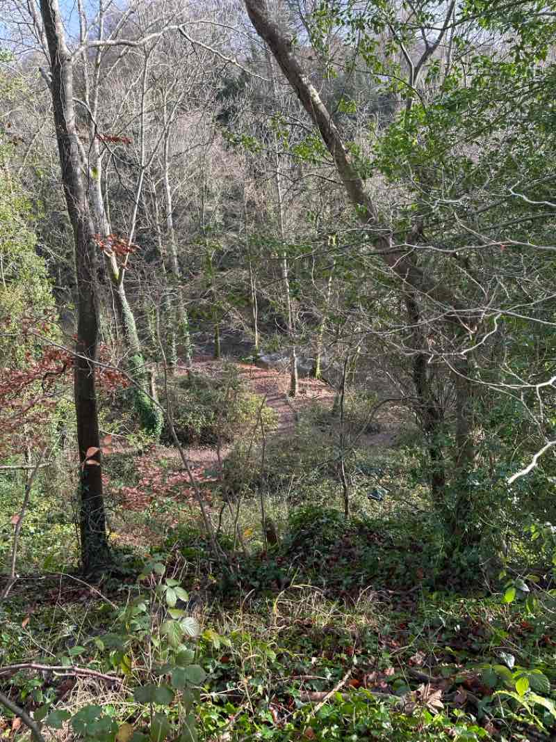 walking near me in The Groves in winter