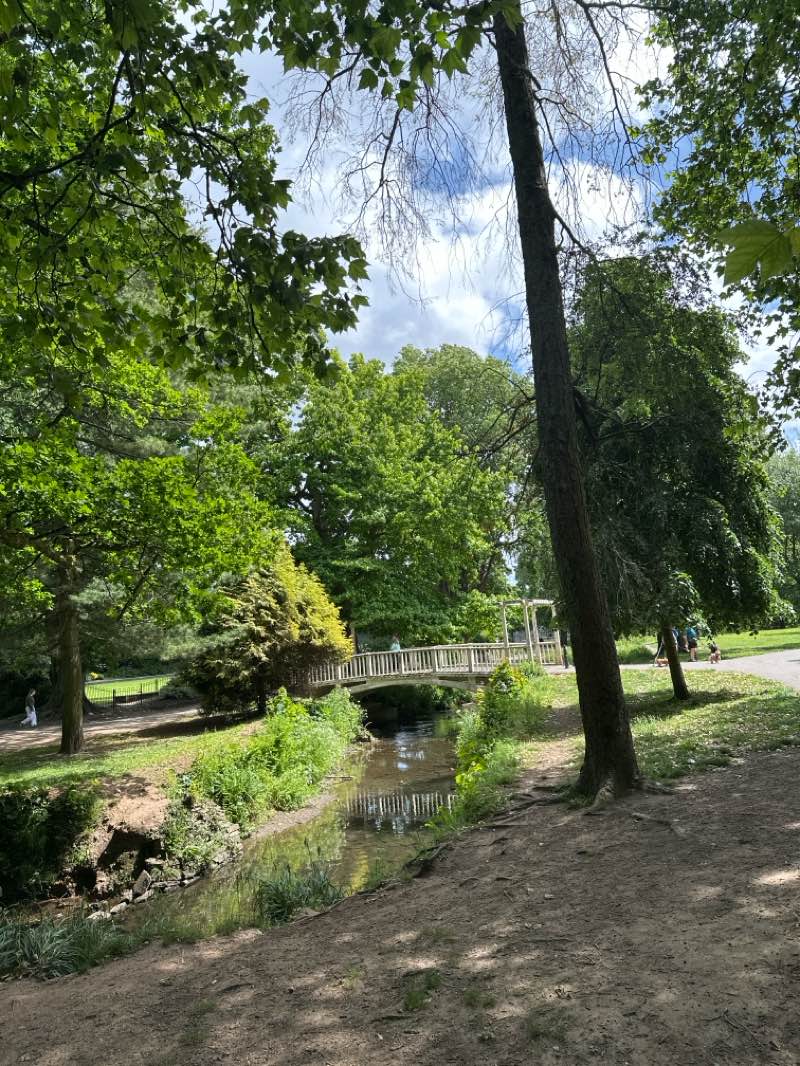 walking near me in Roath Pleasure Gardens in summer