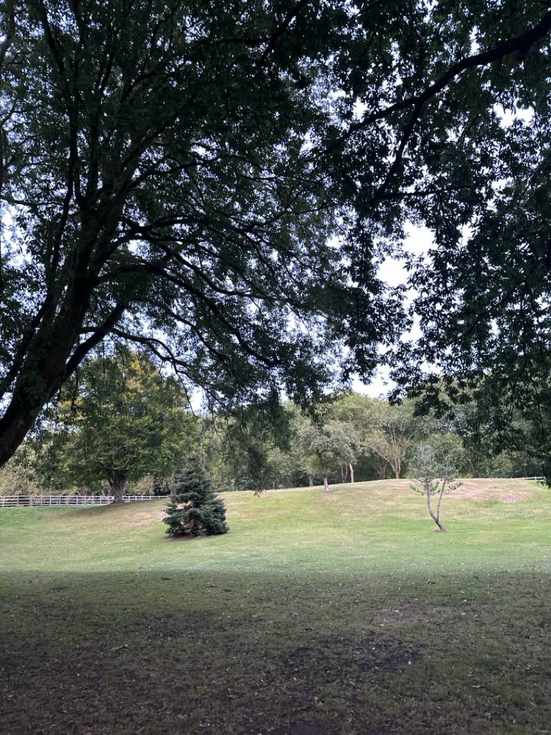 walking near me in Ynysangharad Park in autumn