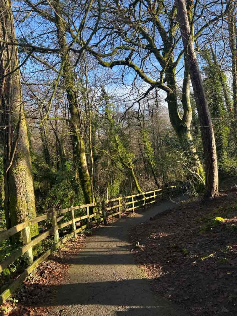 walking near me in Bryngarw Country Park in winter