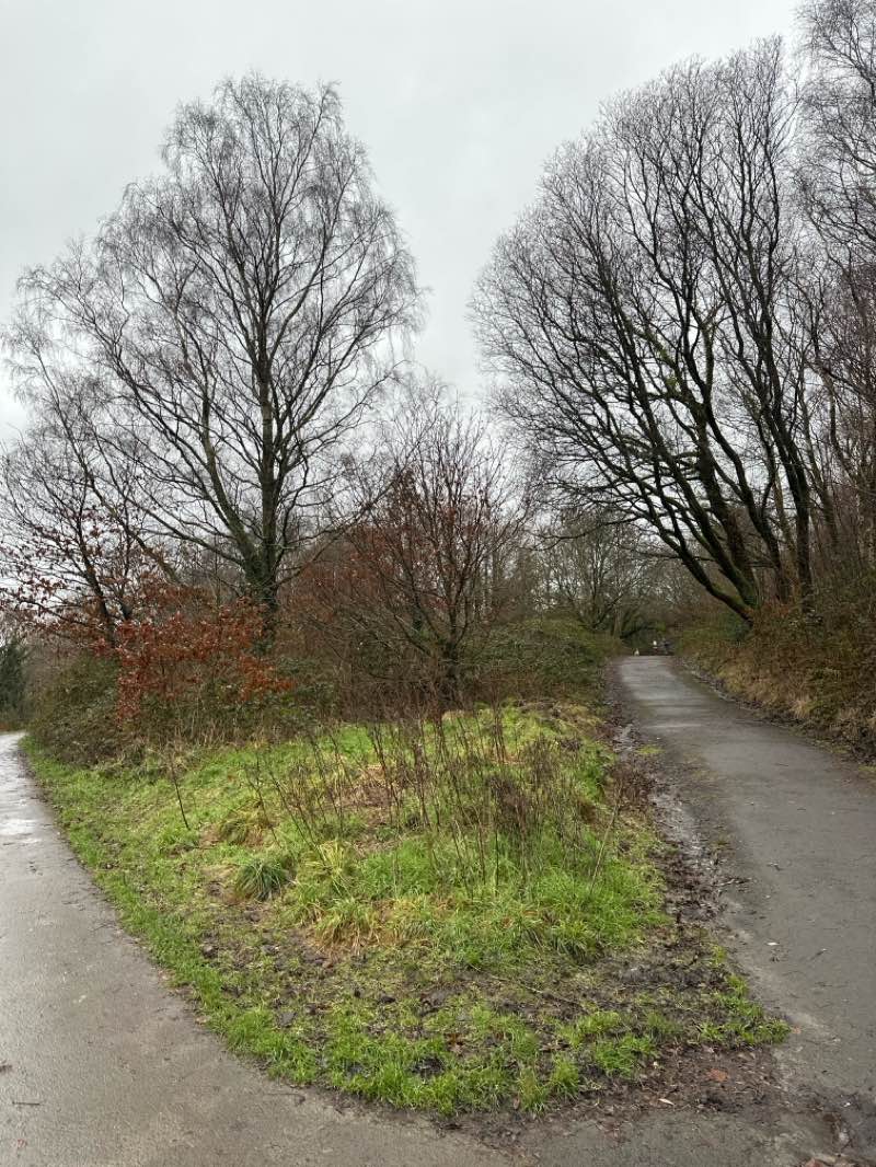 walking near me in The Common in winter