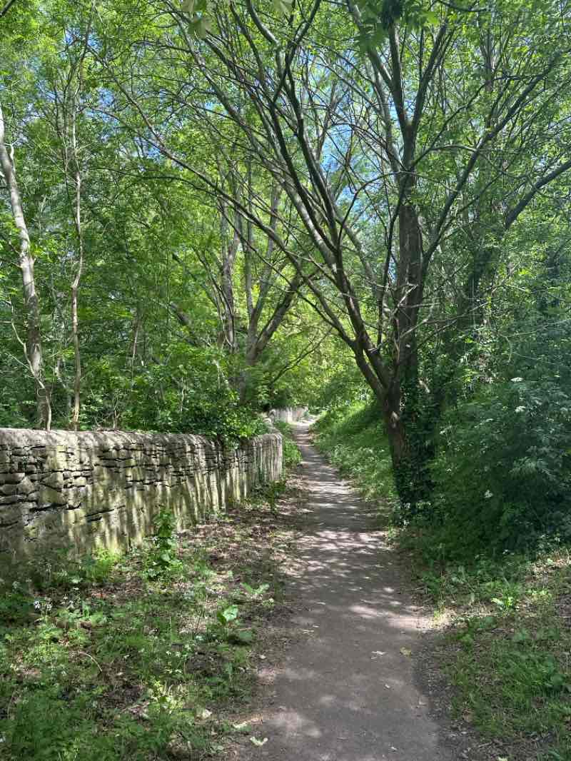 walking near me in Linda Vista Gardens in summer