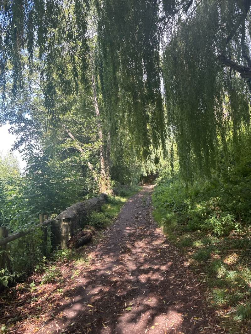 walking near me in Abergavenny Castle in summer