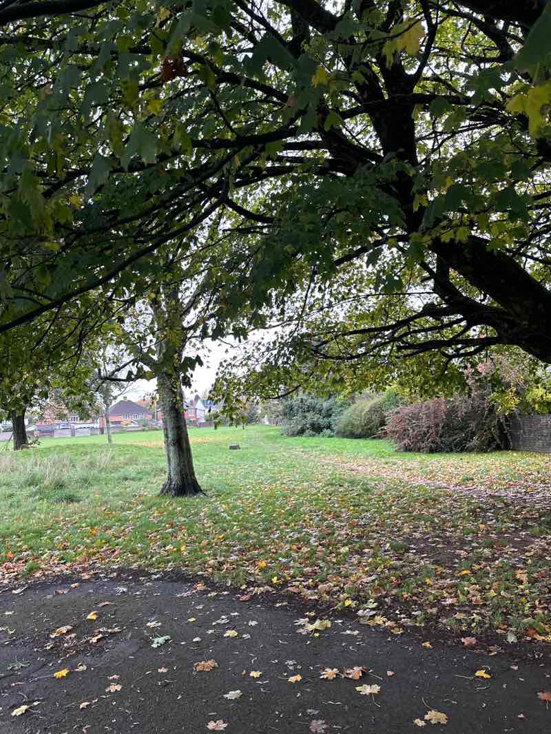walking near me in Caedelyn Park in autumn