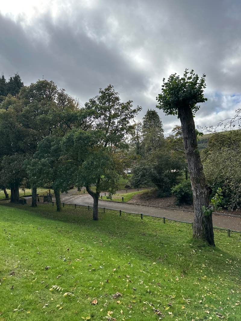 walking near me in War Memorial Park in autumn